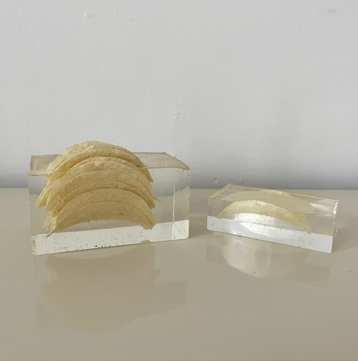 pringles in resin